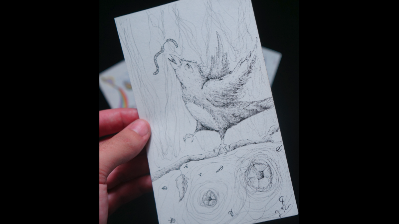 bird sketch art.png
