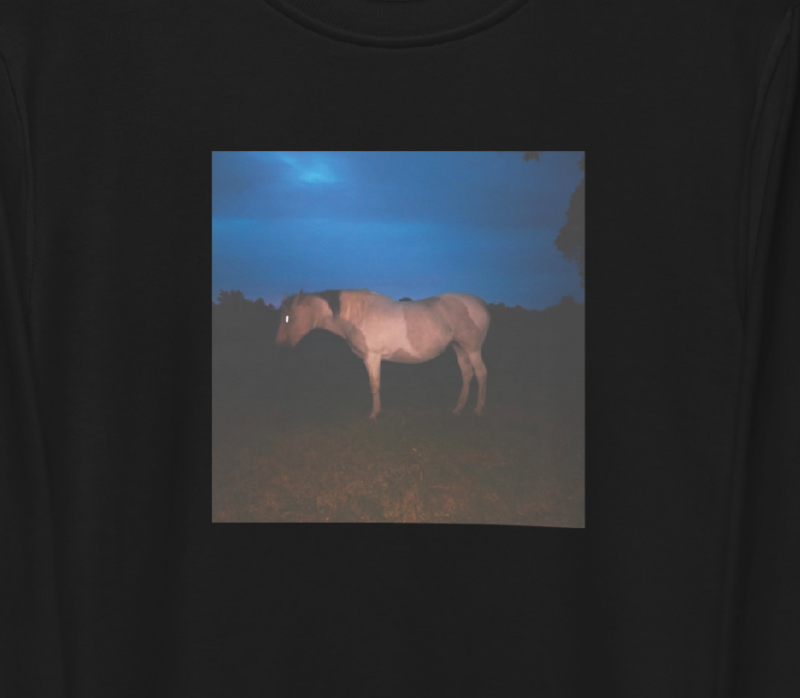 horse shirt longsleeve.png